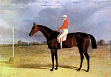 John Frederick Herring Snr Canvas Paintings - A Dark Bay Racehorse with Patrick Connolly Up